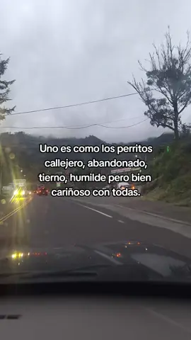 #contenido #sigueme #dale❤️ #fullchichadelabuena💯😎❤🍃 