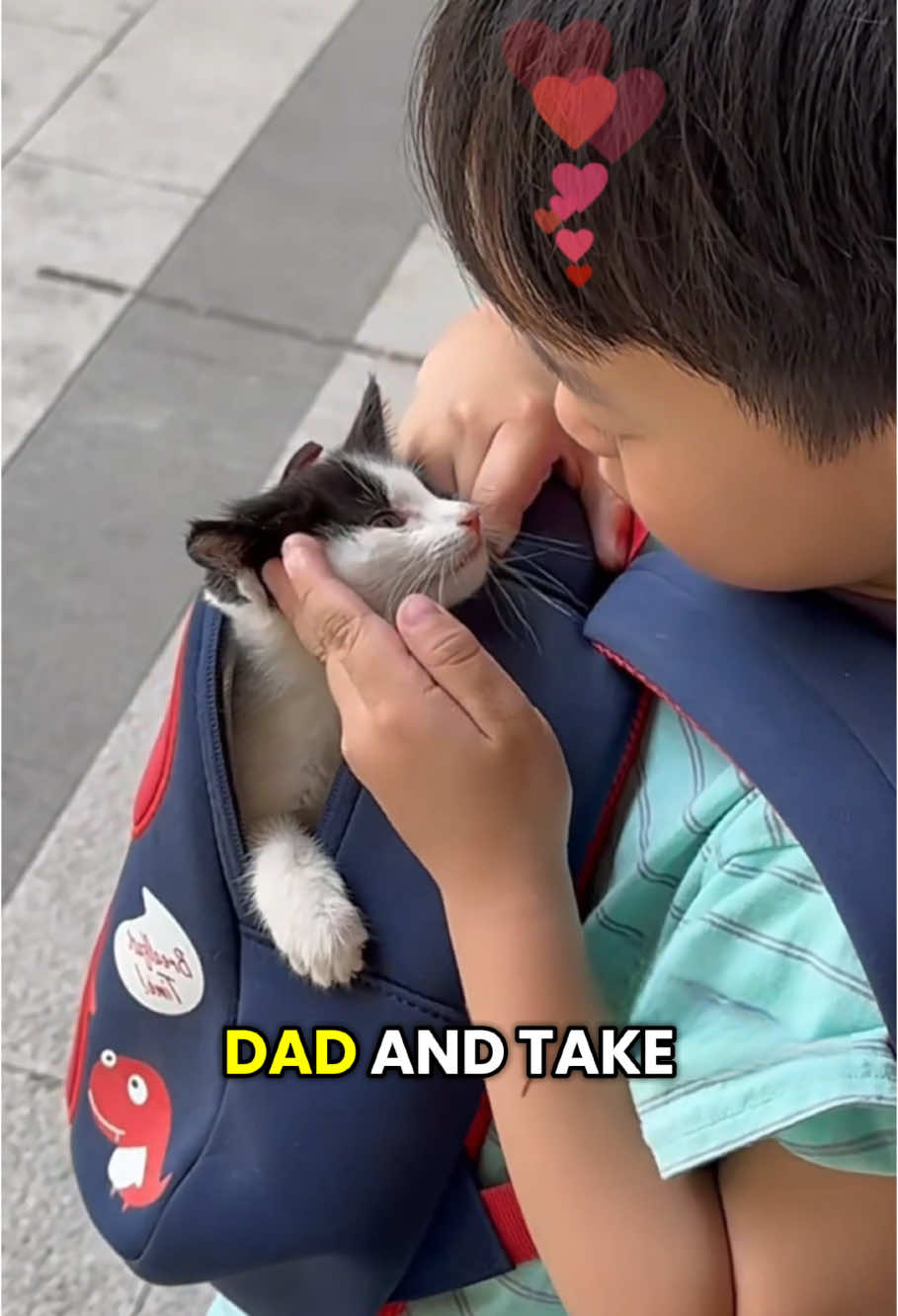 The boy was heartbroken after losing his kitten #animals #fyp #foryou #cat #Love