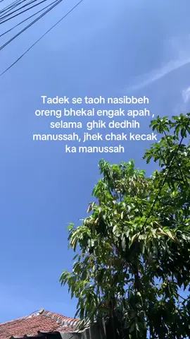 #madura #bangkalan #katakatamadura #madurapride🔥 #storymadura 