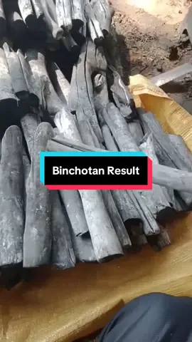 Yang berkualitas memang beda hasilnya, 100% Binchotan Arang Putih dari Kayu Kopi. Satu-satunya pabrik arang putih di Jawa Barat yang konsisten produksi Binchotan dari Kayu Kopi hanya PT Aneka Arang Indonesia. #binchotan #binchotancharcoal #japancharcoal #koreancharcoal #woodcharcoal 