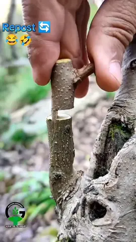 @Black Boy...                @🫀  𝔍𝔞𝔫𝔦  🫀  😂🤣#pukhtoon #foyrou #tiktok #unfreezmyaccount #الشعب_الصيني_ماله_حل😂😂 