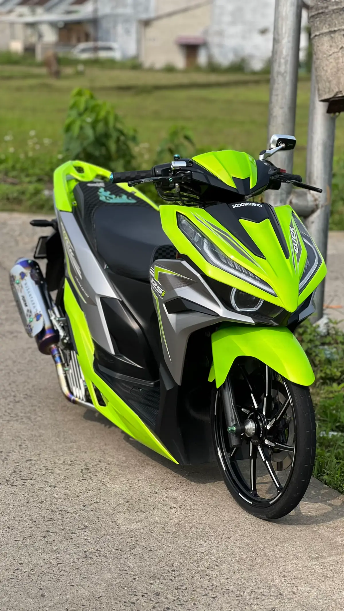 🐸