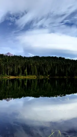 Mount Rainier in all its glory #lake #mountain #forest #beautiful #nature 