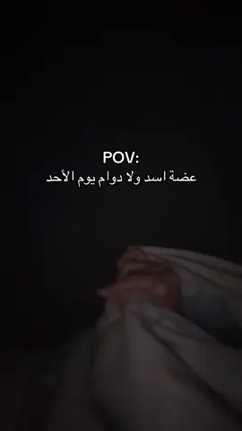 طب ابي انام 