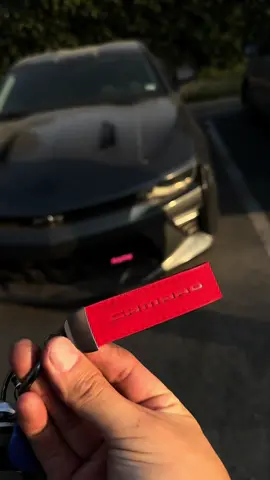 #fyp #fypシ #camaro #CAMARO #carsoftiktok 