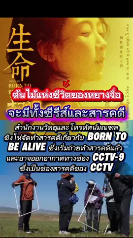 #หยางจื่อ #Yangzi 