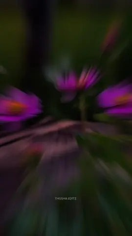 💜🖤உயிர் நீங்கி போனவளே என் உயிர் வாங்கி போனவளே💜🖤 #tamilsong #lovefailure #tamilactor #tamillovesongs #tamilsong THUSHA EDITZ 