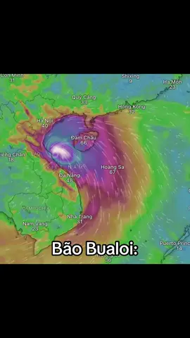 Bão Bualoi và tình hình thời tiết tại miền Nam nước ta