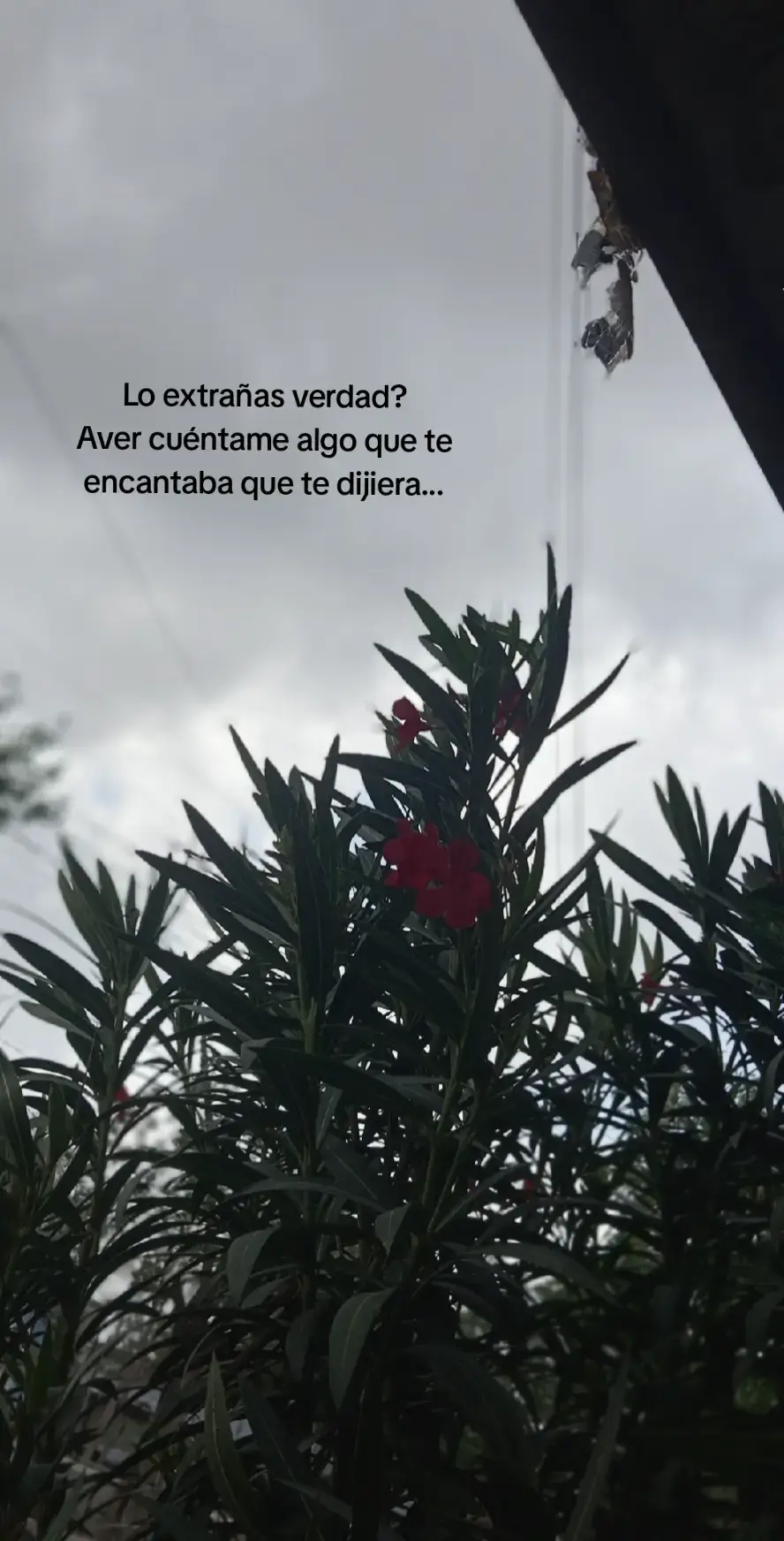 #fypppp #videoviral #paratiiiiiiiiiiiiiiiiiiiiiiiiiiiiiii #ex 