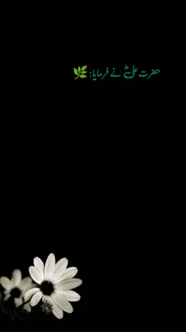 #foru #tik_tok #viral_video #fyp #100k 