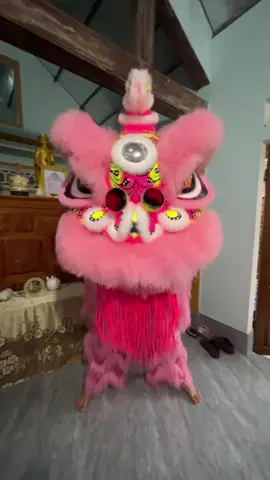 chill#lân_sư_rồng_niềm_đam_mê_bất_tận #mualan #xh #xuhuongtiktok 