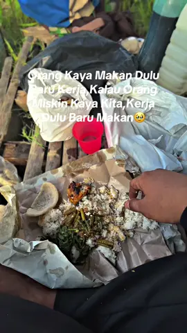 😇  #Tanikaya #petanimilenial #combineharvester #petaniindonesia🇮🇩🇮🇩🇮🇩🌿🌿 #fyppppppppppppppppppppppp 