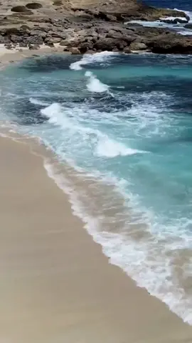 💔 Words for the days when you feel like you can’t go on… Grief can feel unbearable, but you don’t have to carry it alone. Their love is still with you, even in your hardest moments. 🤍 👉 Drop a 💜 if you’re missing someone tonight 👉 Scroll through the comments to see you’re not alone 👉 Share this with someone who needs comfort #griefjourney #grief #healing #Love  #GriefSupport 