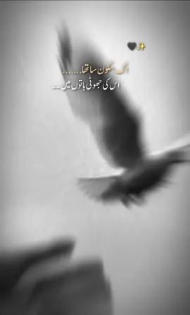 اک سکون سا تھا ۔۔۔ #fypシ゚viral🖤tiktok☆♡🦋 