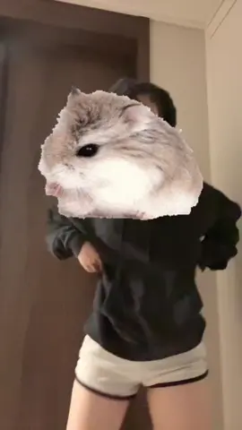 #ㅊㅊ #추천 