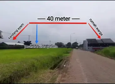 Aduan Masyarakat (Dumas) Kandang peternakan ayam petelur, program ketahanan pangan Bumdes Desa Ciapus , Ciherang, Kecamatan Ciomas Kabupaten Bogor, yang tidak mengantongi izin dari warga sekitar, dgn dalih berdiri di tanah pemerintah walaupun berada di tengah pemukiman warga.  Menggadaikan kesehatan warga dengan membangun kandang peternakan ayam tepat di samping dinding pembatas perumahan. Bahkan satu lokasi dengan jogging track Ecosport. Jarak ideal mendirikan kandang ayam adalah minimal 500 meter dari pemukiman, sesuai Peraturan Menteri Pertanian Nomor 40/Permentan/OT.140/7/2011, untuk menghindari pencemaran lingkungan dan gangguan warga. Selain jarak, peternak juga wajib mengurus izin dari pemerintah daerah (kabupaten/kota) serta memiliki Nomor Kontrol Veteriner (NKV) untuk menjamin keamanan dan kelayakan produk hewan, serta memastikan kandang berada di lokasi yang seduai dengan aturan yg sudah di tetapkan. Berdasarakan informasi yg kami dapat dari pihak Bumdes, kandang tsb pun blm memiliki saluran pembuangan. Tanpa transparansi, tanpa sosialisasi sebelumnya ke warga dan perumahan samping serta belakang kandang ayam. Apakah program berskala nasional ini tidak dapat menganggarkan dana untuk menyewa lahan yang jauh dari pemukiman? Apakah harus berdiri di tengah pemukiman karena tanah tersebut merupakan tanah pemerintah? Apakah tidak ada tanah pemerintah lainnya yang berada jauh dr pemukiman? Atau terlalu pelit untuk menganggarkan dana menyewa lahan sehingga mengabaikan kesehatan warganya? Tolong segera ditindak, sebelum dampak negatif menyebar di lingkungan warga sekitar! #bogordailynews #aduanmasyarakat #wargaproteskandangayam #ciomas #bogor