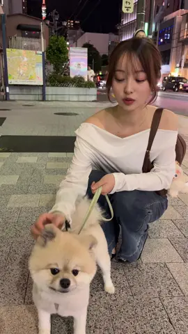 まさかのリスナーさん このパターンは！！！ #犬触らせてください  @にいな👶🏻💖 