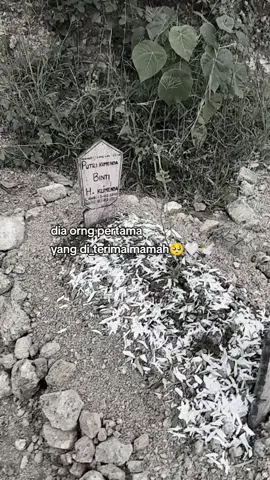 @kumenda_ 🫀🤍,🥀 , Terimakasih sekali lagi sudah menjadikanku cintah terakhirmu, sdh sejauh ini kamu ningali aku dan juga keluargamu 🥺 ternyata kisah kita yang kita dongengkan ttp kalah dengan takdir,☹️🥀 aku ga tau mau buat apa , ngaduh ke siapa, aku cmn bisa sedih2 terus ,🥺 maafkan aku ya syg 🥺 🙏 ,jikalau kesedihan ku ini selalu memberantakanmu di sna, disaat aku slalu mengingat kenangan kita ☹️, dan aku masih mencari letak ikhlasku atas kepergianmu , dan aku akan ttp mengingat kamu di setiap wakuku , kamu orng prtmah yang diterima mmah 🥹, kamu juga orng pertamah yg aku kenalin sama keluarga besarku, dan aku harap aku akan temui wanita seperti mu,🥺  dan aku masih mencari letak ikhlasku atas kepergianmu , kini ayah dan ibu mu, menjadikan aku sprti anak mereka,  dan menjadikan aku adik dari kkamu 🥺 skli lagi trimakasih kasih sudah menepati janji mu, yang kau ucap hari itu, kau jadikan aku cinta terakhir mu di masa hidupmu,  See u syg 🥺 ,      _ sampai ketemu di waktu yang Alloh janjikan 🥺👋💐🤍 #fyp #cintaterakhir  #rip #kangenkamu🥺 🥺 