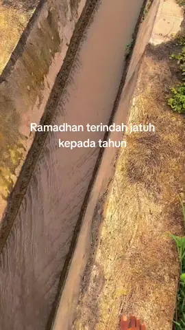 Ramadhan terindah jatuh kepada tahun?#vibesramadhan #fyppppppppppppppppppppppp #ramadhan