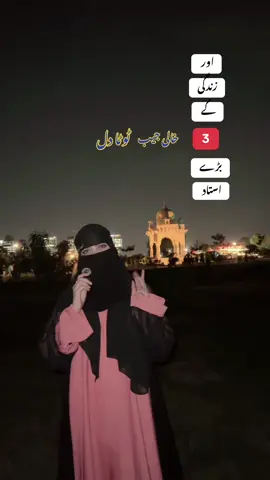 Haqeqat 100 % #sadlines #trendingnow #desivibes #hijabi #fyp 