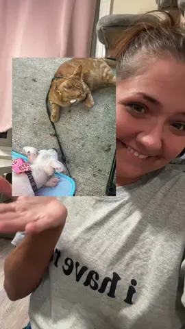 KEVIN!!!! Another update video! #kitten #cat #puppy #dog #update 