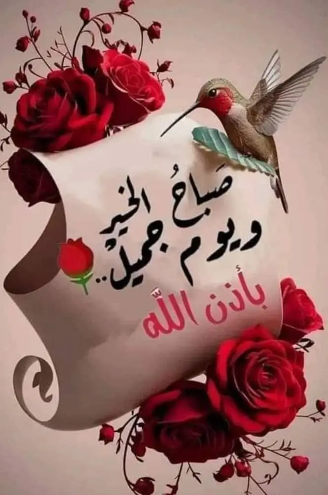 صور صباح الخير #صباح #صباح_الخير #صباح_الخير🌻🌹 