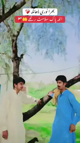 Repost #viral #videoviral #foryou #fyp #unfrezzmyaccount @نوری ڈھانگہ ہڈالی الا 💪💕 @نیما ٹوانہ🥂🖤 