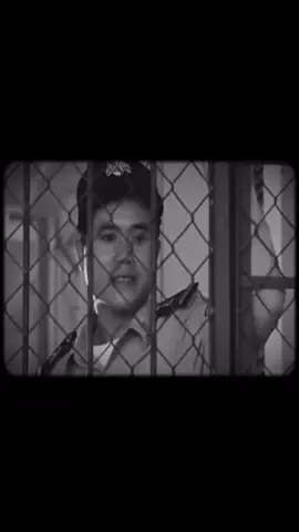 #ផ្លូវជីវិត #គុណធម៌ជីវិត #អ្នកមានគុណ #ពាលស៊ីពាល #សន្តិភាពផ្លូវចិត្ត🍃🍀 