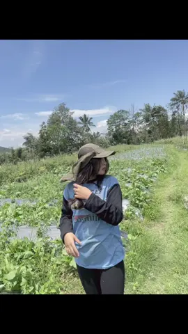 IM BACKK ! #petanicabai🌶️🌶️🌶️ #viral #petaniindonesia🇮🇩🇮🇩🇮🇩🌿🌿 #petanisukses💪🌾🌿 #fypシ #tanicewek #hanyambakmbakbiasa #tani #peranimilenial 
