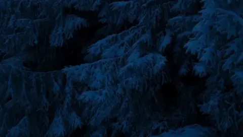 mana noqon kara favourite writer kaga😭🫶🏿#viesproblem😭💔 #foryoupage❤️❤️ 