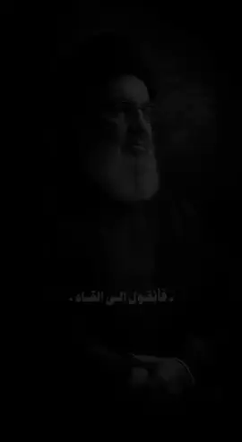 #سيد_حسن_نصر_اللّه #لايكات #عباس_الزيرجاوي #الشاعر_امير_السوداني #تصميم_فيديوهات🎶🎤🎬 