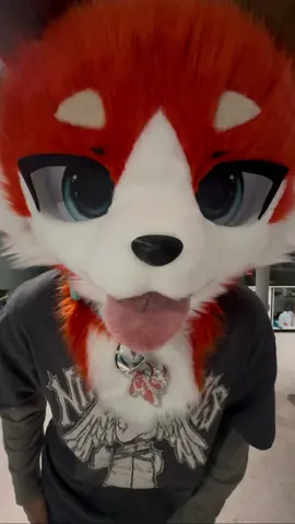 BLEHHHH #furry #furrytiktok #fursuit #blehh #silly