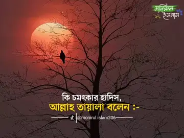 কি চমৎকার হাদিস 😍😇 ➡️#monirul_islam206 