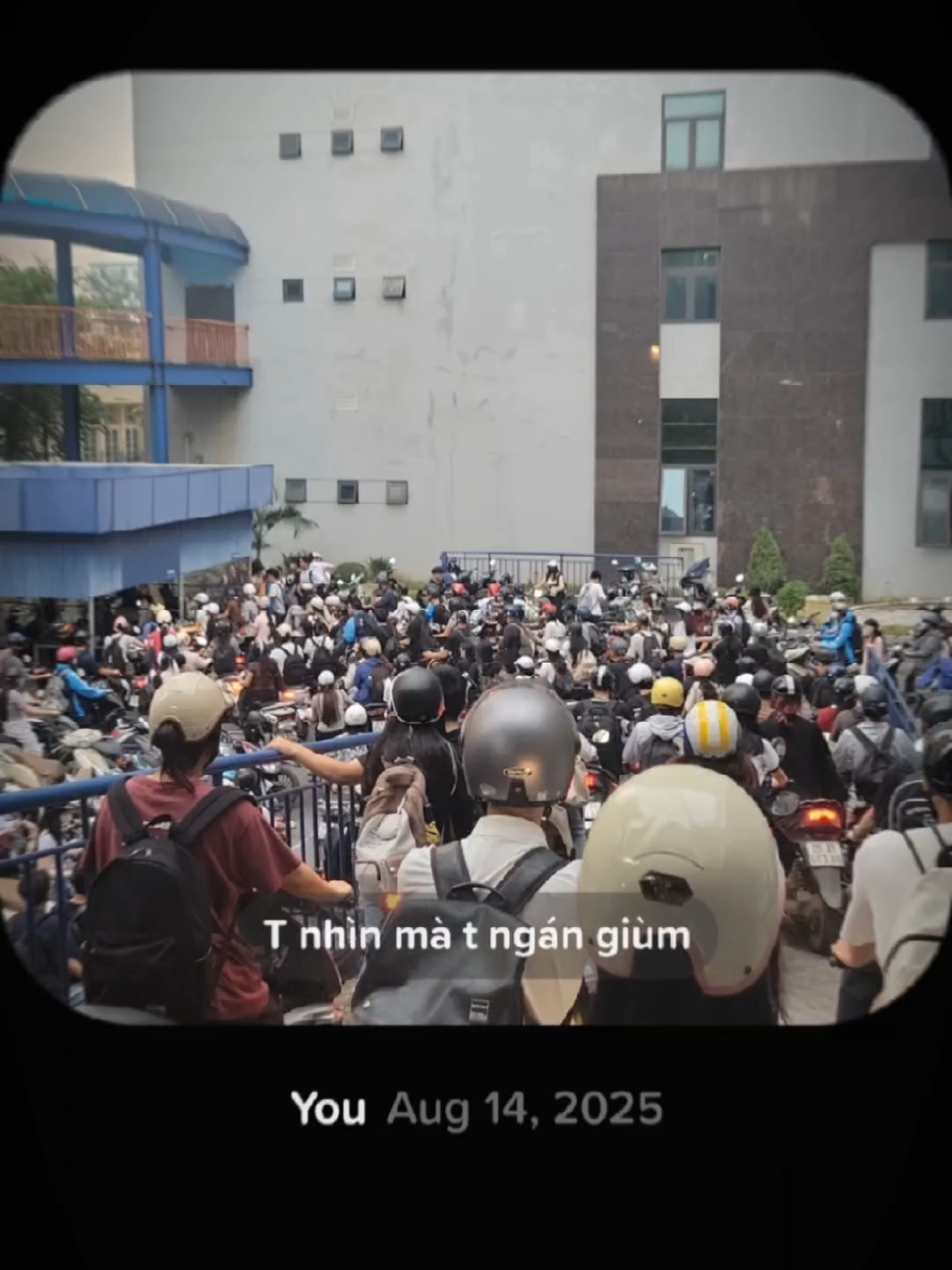 Trung bình nhà xe TMU vào kì 1 mỗi năm học 😔 #tmu #daihoccogivui #thuongmai #university 