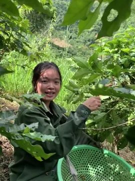 Vâng ạ:))) #xhtiktok 