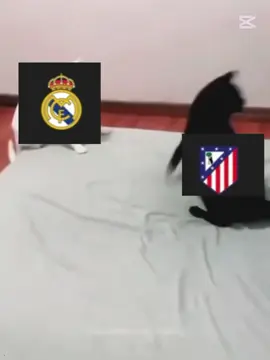 j alvarez  😎 #football #barcelona #cat #football #foryou 