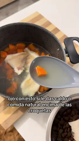 Muchos no lo saben, pero cuando mezclamos croquetas con calditos o comida natural con líquido 🥕🐟💧, es importante esperar a que las croquetas absorban esa agua antes de dárselas a nuestros perritos. ¿Por qué? 🤔 Porque si las comen secas y se inflan dentro de su pancita, pueden causarles molestias digestivas e incomodidad. Yo lo aplico con mis gorditas porque estoy mostrando cómo fue su transición de croquetas a comida natural 🌿✨ y créeme que hace toda la diferencia. 👉 Si quieres aprender más tips y recetas para mejorar la alimentación de tu perro, te invito a seguirme y revisar el link en mi perfil 🐾💓🌸✨ . . . #recetasparaperros #comidaparaperros #mamaperruna #mascotas #amorperruno 
