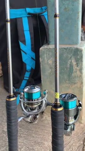 Tandem 2 joran situmanglayang 🔥 #shimano #stella #daiwa #storymancing #fyp 