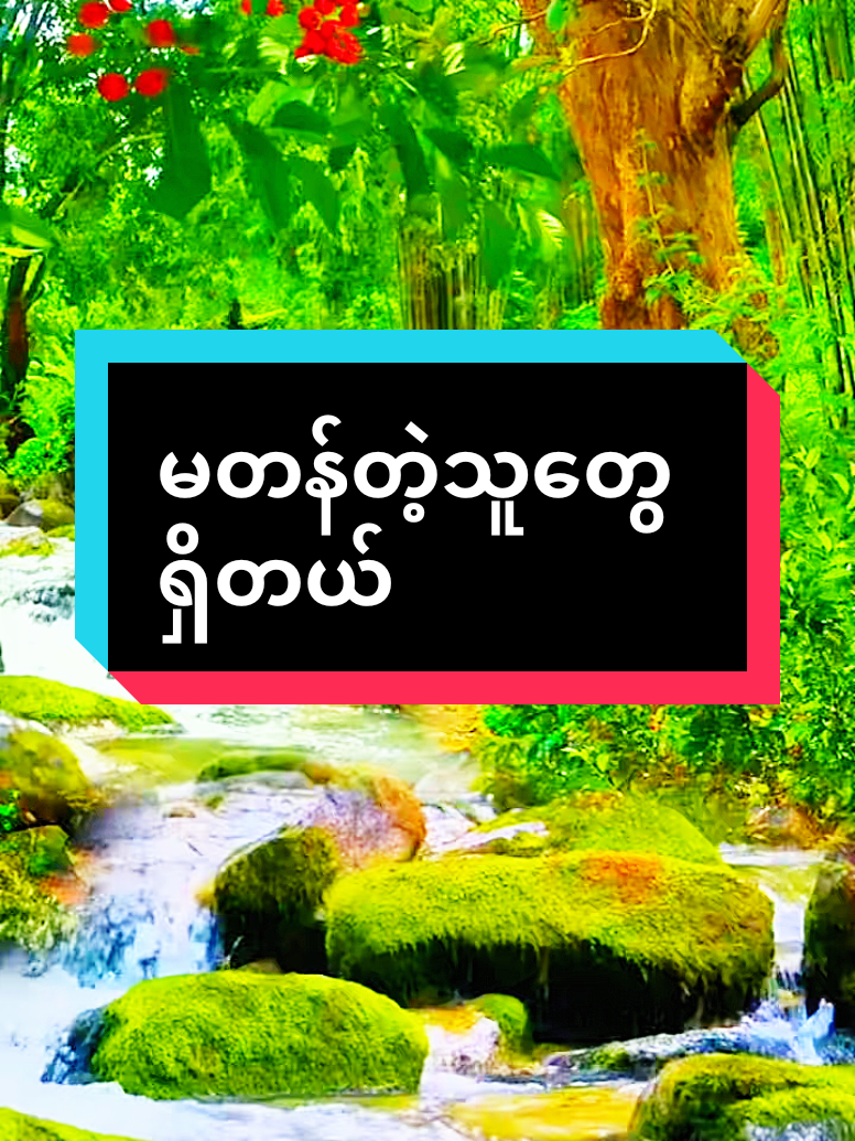 #မတန်တဲ့သူတွေရှိတယ်#အတွေးအခေါ်စာစုများ #မူရင်းရေးသားသူအားလေးစားစွာ credit ပေးပါတယ် #naingoo .008#fypシ゚ 