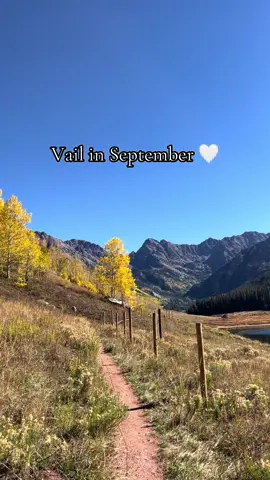 The Aspens are so beautiful #vail #vailcolorado #co #Hiking #fyp 