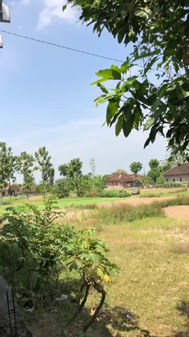 🤙😹  #oemlookstyle #beatesp #foryou #beatmodifkasi #4u 