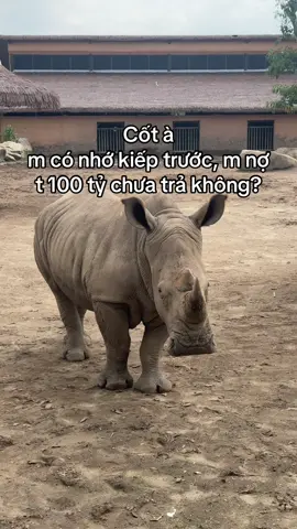 Nhớ không #VinWonders #GreenCreator #dulich #jhcefv9 