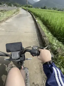 #xhtiktok #xh #canhdong chil 