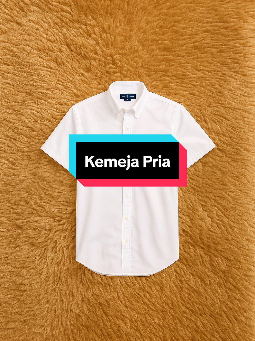 OLOP RL Kemeja Pendek Pria Formal Kantoran Casual SlimFit Material Cotton Twill Premium Bordir Sablon Size M L XL Putih Hitam Navy Abu Maroon Cream Hijau Salem Brown Sage Merah Bata#kemejapria #kemejapendek #kemejamurah #kemejacasual #fyp 