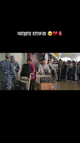 #কুয়েত_প্রবাসী🇰🇼 # আল্লাহ হাফেজ 🥹💔🫀@Ahmmed Robin 