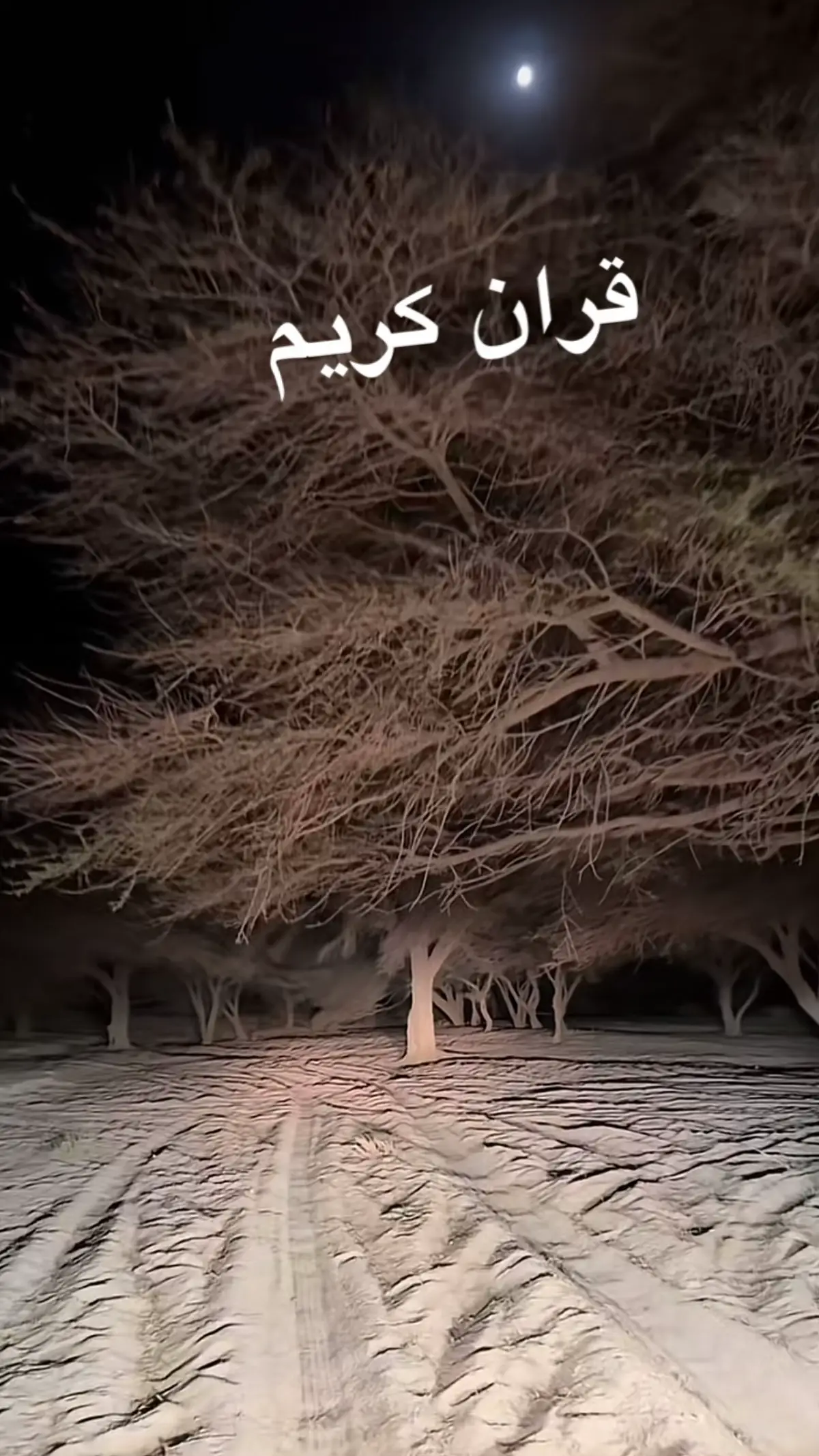 قران #اكسبلورexplore 