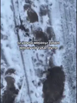 agyr deger saña bu 