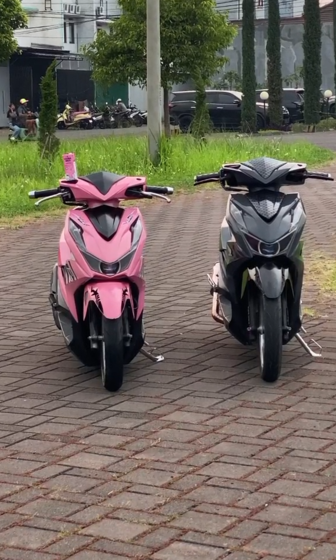 kaya asing liat leon🗿 #LIVERIYA🌸 #ogahjinjitstyle #fitmen #beatcbspinkstyle #modifikasibeat 