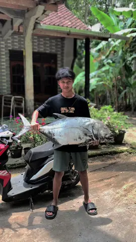 2 jari saja cukup🤭#pantaiselatan #dronefishing #pasiranpurworejo #pasirankebumen #fypシ #mancing 