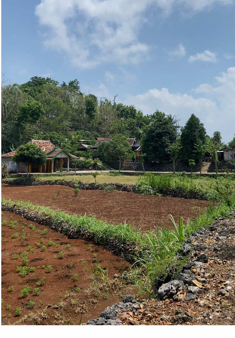 Jan nyamleng tenan awan awan karo nyetel langgam lurr. Ngiyup sik karo ngaso lur sedelo neh rolasan bedug songolikur 😅 #gunungkidul #suasanapedesaan #desa #kampung #jogja24jam 